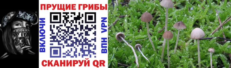 Галлюциногенные грибы ЛСД Нижнеудинск